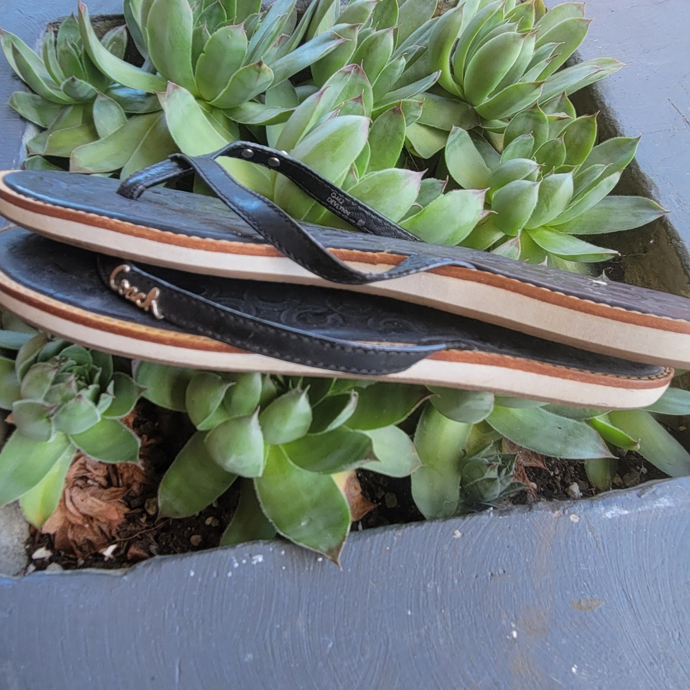 Black Flip Flops - image 4